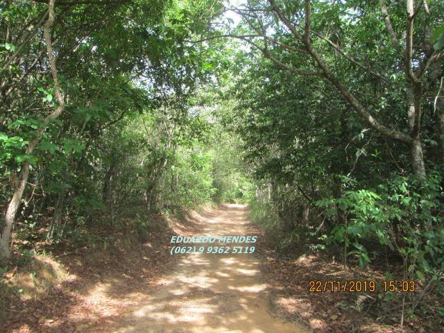 Chácara de lazer c/ água a 1 km de Gameleira de Goiás - Foto 19