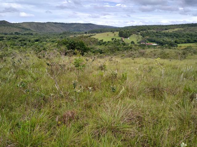 Sítio com 38 hectares as margens do Ribeirao Ze Pedro! - Foto 2
