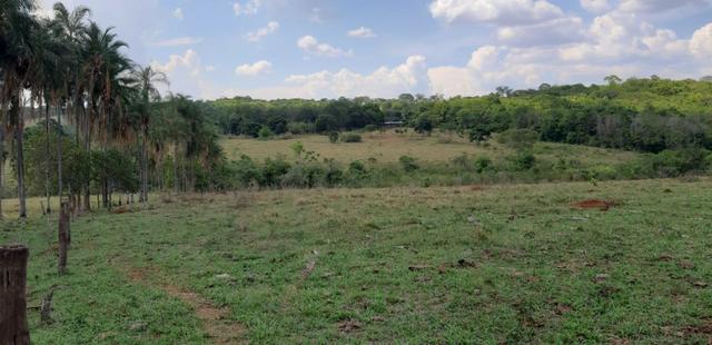 Fazenda 38 Alqueires em Bela Vista - Foto 7