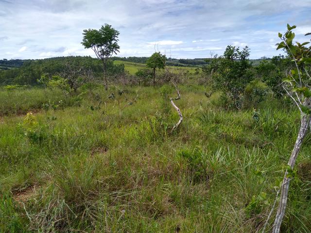 Sítio com 38 hectares as margens do Ribeirao Ze Pedro! - Foto 5