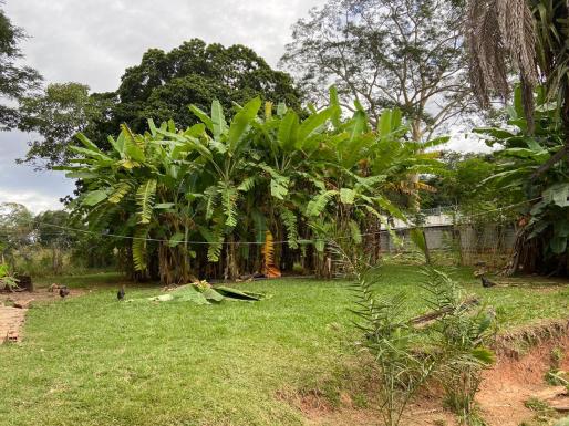 Área com 42350 m² no Parque Industrial Joao Bras em Goiânia - Foto 11
