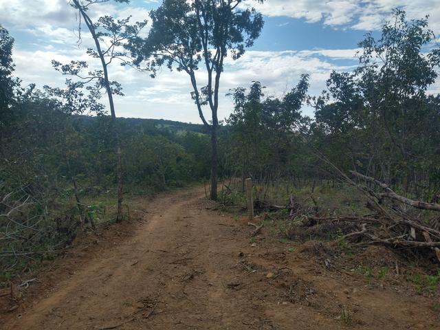 Chácara rego e córrego Bela vista - Foto 9