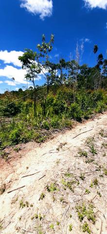 Ag1. que maravilha de terrenos você não pode perder - Foto 3