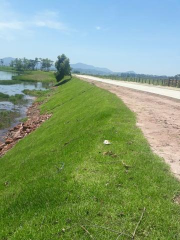 Terreno Plano Tijucas Nova Descoberta 450m2 Documentação ok - Foto 10