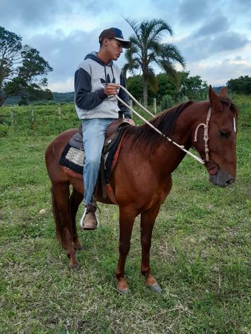 Manga larga Machador