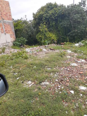 Terreno - Foto 6
