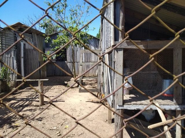 Velleda oferece sítio com 3 hectares, casa nova pastagem e frutíferas - Foto 10
