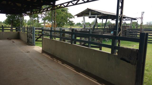 Arrendamento, Aluguel ou Venda de Chacara Estrada da Guia km14 Hidroponia, Confinamento - Foto 12