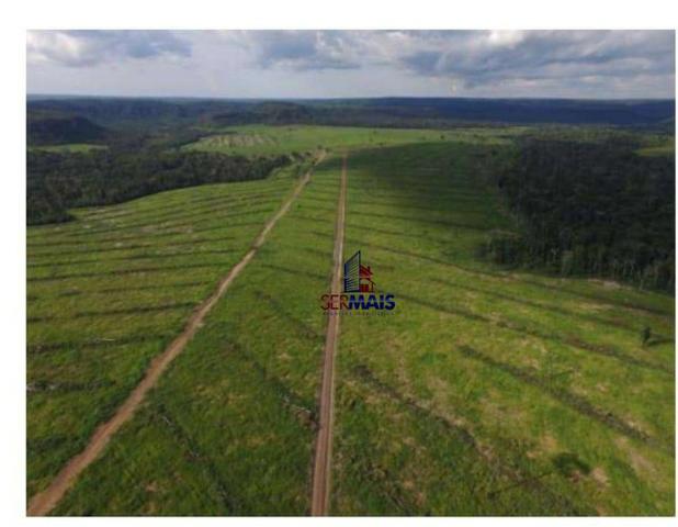 Belíssima fazenda a venda na divisa de Rondônia com o estado de mato grosso - Foto 11
