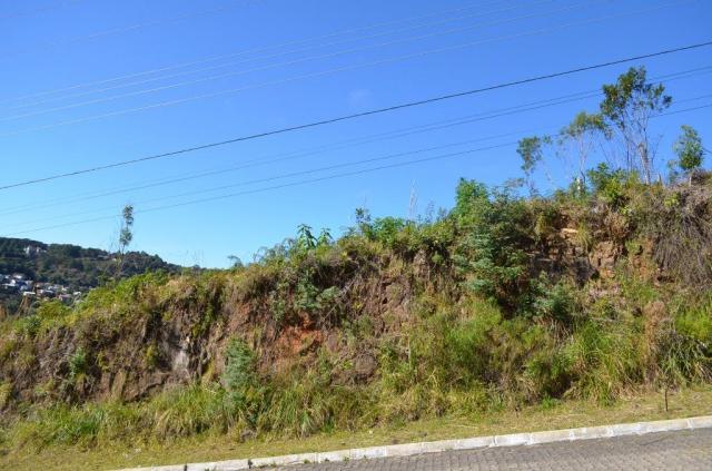 Terreno residencial à venda, vale das colinas, gramado. - Foto 9