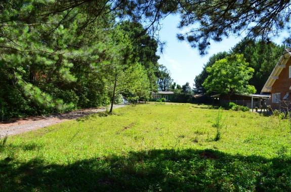 Terreno à venda, 3945 m² por R$ 3.500.000,00 - Centro - Canela/RS - Foto 7
