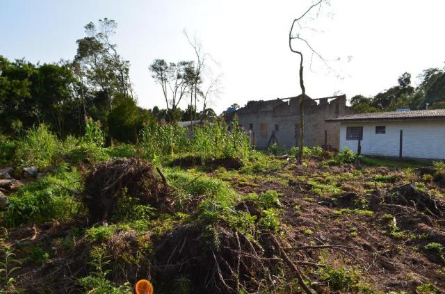Terreno residencial à venda, vale dos pinheiros, gramado. - Foto 3
