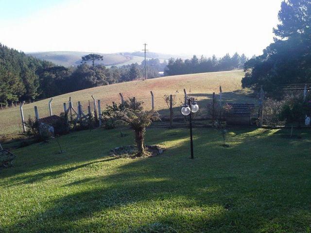 Sítio rural à venda, saiqui, canela. - Foto 3