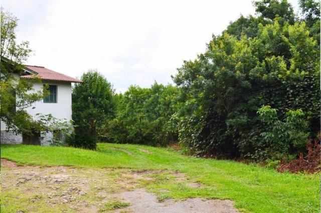 Terreno à venda, 8960 m² por r$ 2.300.000,00 - centro - canela/rs - Foto 6