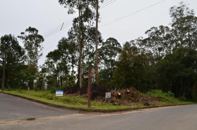 Terreno residencial à venda, casa grande, gramado.