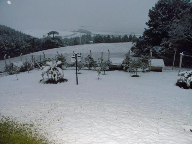 Sítio rural à venda, saiqui, canela. - Foto 2