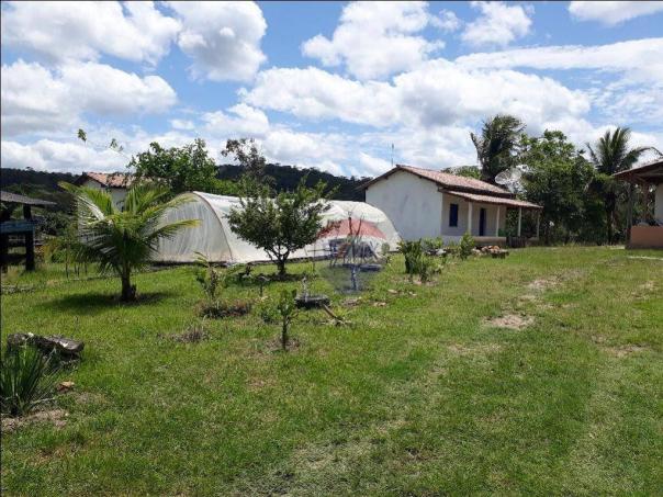Fazenda à venda em Porto Seguro (Vera Cruz), Bahia - Foto 14