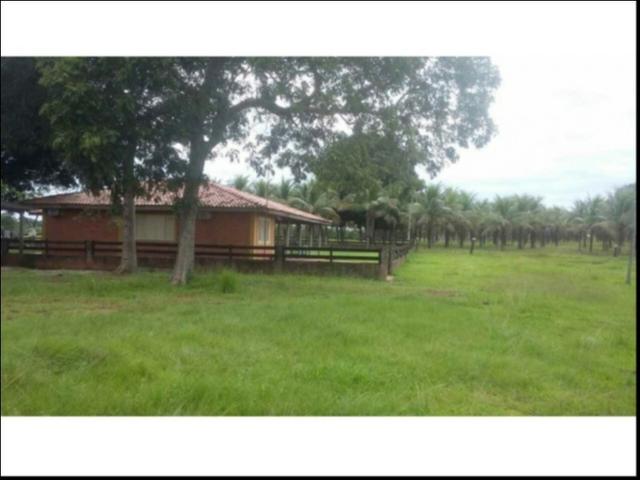 Fazenda em Cáceres 700 hectares