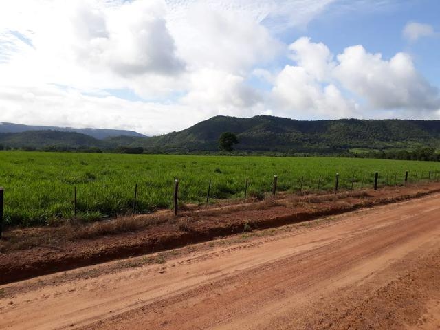 Fazenda em Santo Antônio á venda - Foto 17