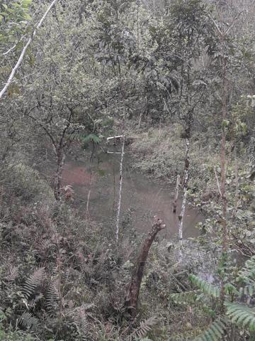 Sitío - Foto 8