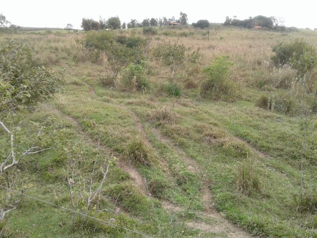 Fazenda de 51 alqueires - Foto 18