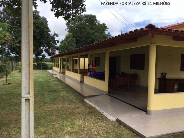 Fazenda à venda, por R$ 21.000.000 - Lagoa da Confusão/TO - Foto 3