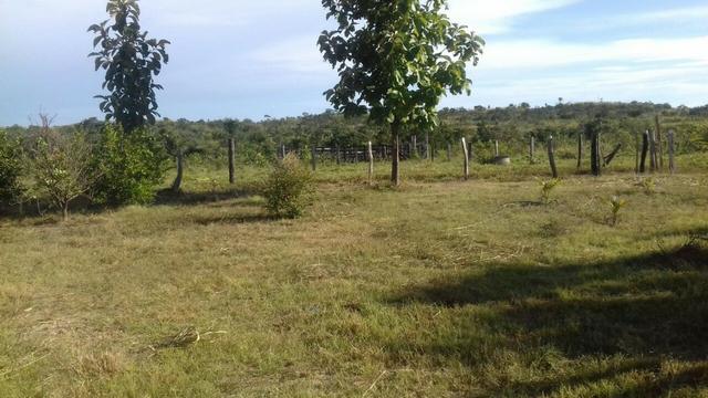 Vendo Sitio / Chácara 72 hectares, Pecuária ou lavoura, Casa, energia, Agua, Nobres - Foto 5