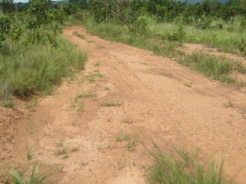 Fazenda 5276 ha N. Brasilandia MT - Foto 4