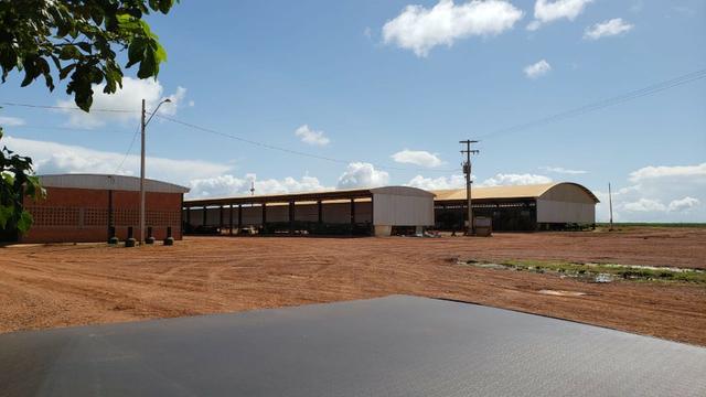Fazenda 14600 há no Maranhão - Foto 5