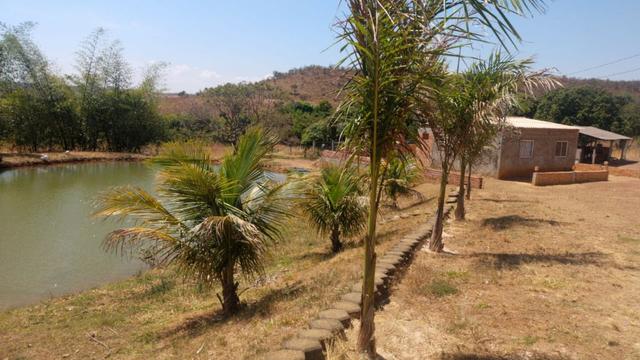 Chácara 6.2 alqueires ( 30 ha ) Águas Lindas-GO 80% permutas - Foto 5