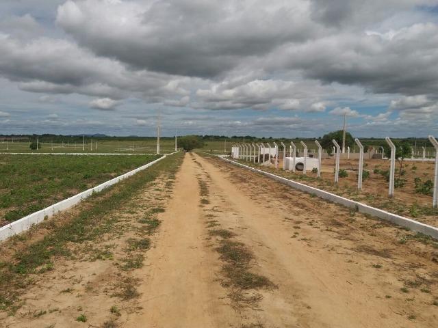 Terreno em José de Freitas-PI - Foto 2