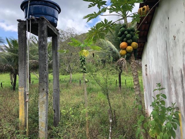 Fazenda Rio Branco - Foto 9