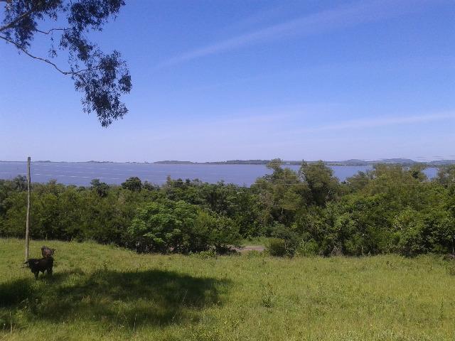 Área de terra 5,3 ha
