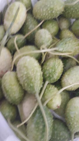 Machichi - Foto 2