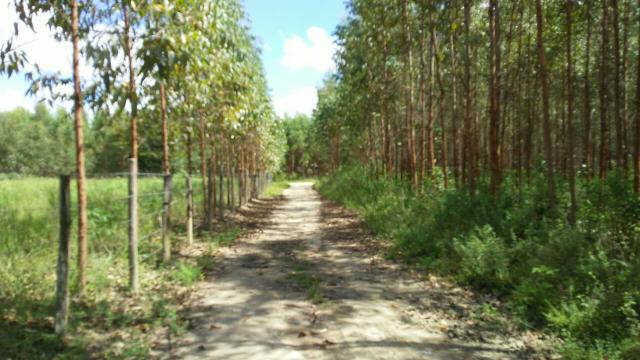 Sitio - Foto 7