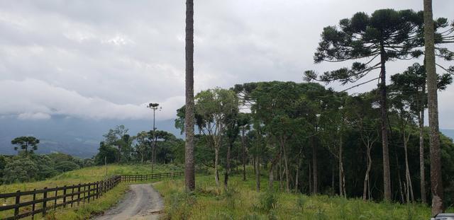 Sítio em Urubici/chácara em Urubici/área rural