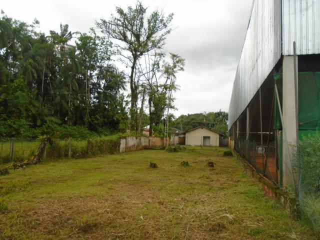 Terreno para alugar em America, Joinville cod:05753.004 - Foto 6