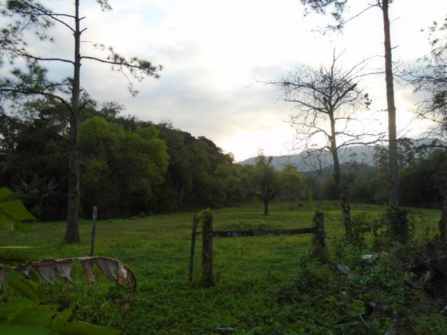 Terreno para alugar em Zona industrial norte, Joinville cod:06691.006 - Foto 3