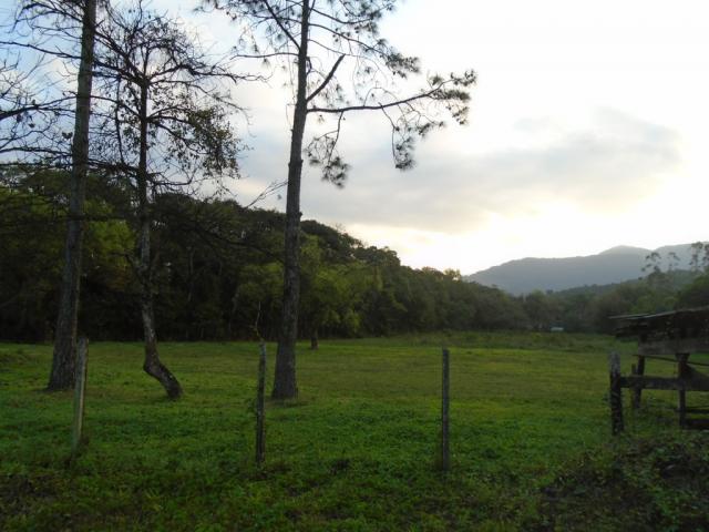 Terreno para alugar em Zona industrial norte, Joinville cod:06691.006