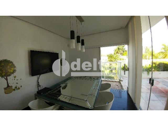 Casa para alugar com 0 dormitórios em Patrimônio, Uberlândia cod:559204 - Foto 16