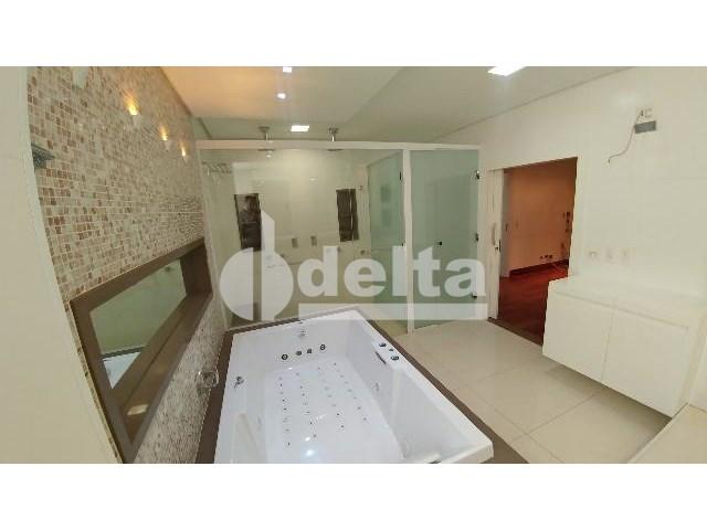 Casa para alugar com 0 dormitórios em Patrimônio, Uberlândia cod:559204 - Foto 19