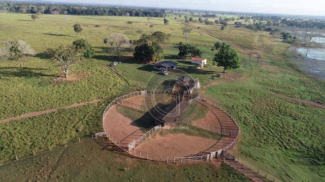 Fazenda em nossa senhora do livramento