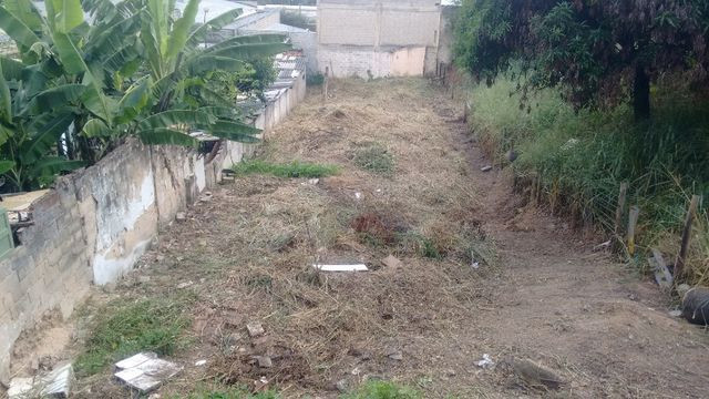 Lote bairro são francisco bhte - Foto 2