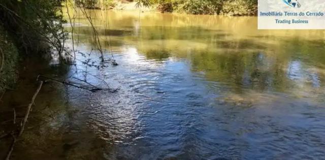 Sítio com 38 hectares as margens do Ribeirao Ze Pedro! - Foto 6