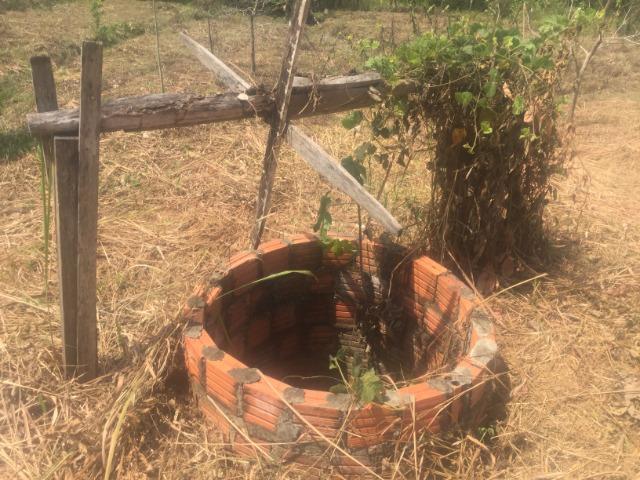 Terreno para chácara no bujari - Foto 4