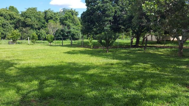 JP 012 - Ótima fazenda colado no Gama, a 27km - Foto 12
