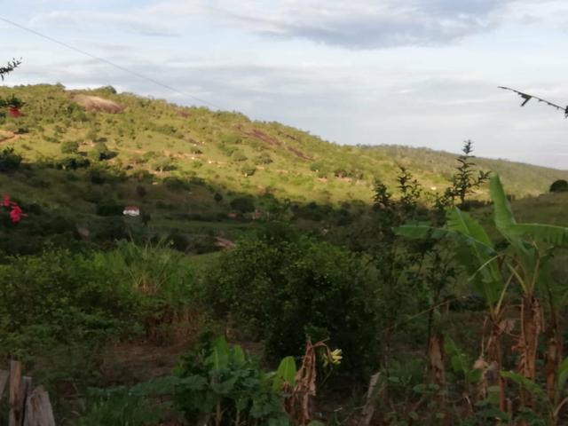 Fazenda de 945 hectares em Minas Gerais - Foto 2