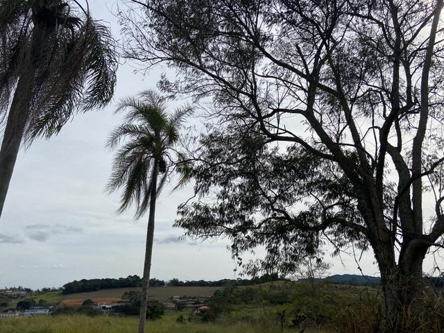 Desfrute desse verde da janela de sua casa
