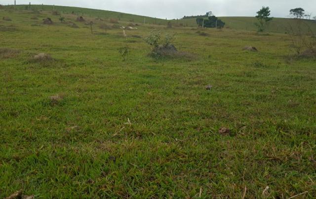 Ud/ um bom preço e um bom lugar para morar - Foto 2