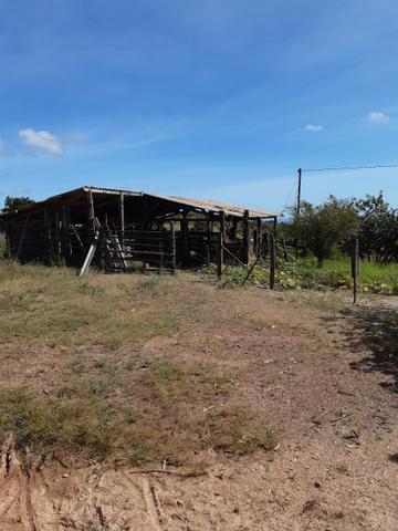 Vende chácara - Foto 3